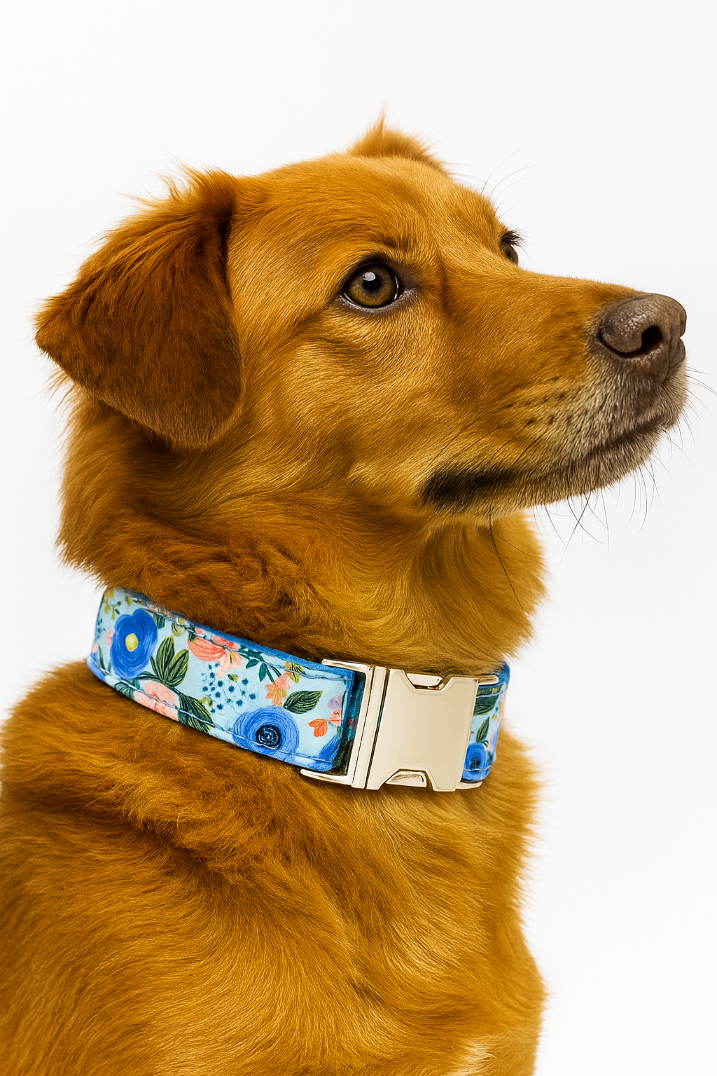 Bluebell Meadow Floral dog Collar