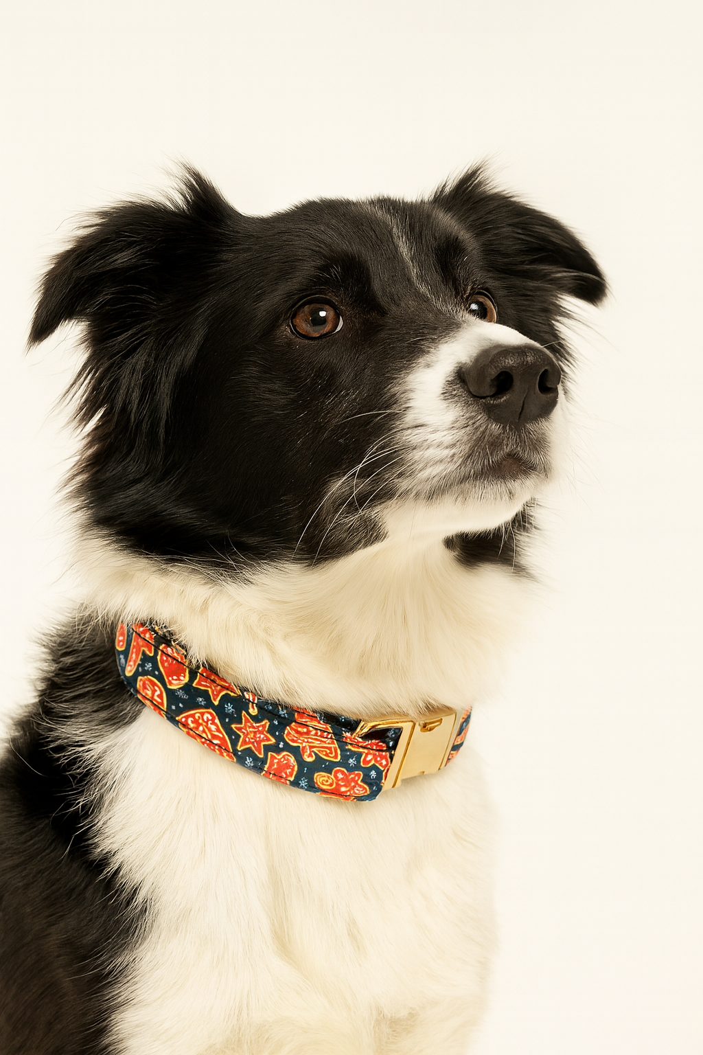 Midnight Gingerbread Dog Collar