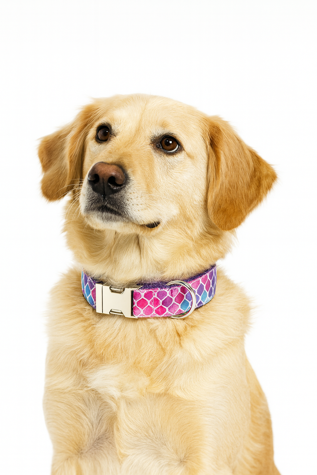 Mermaid Magic Dog Collar with Bow Tie
