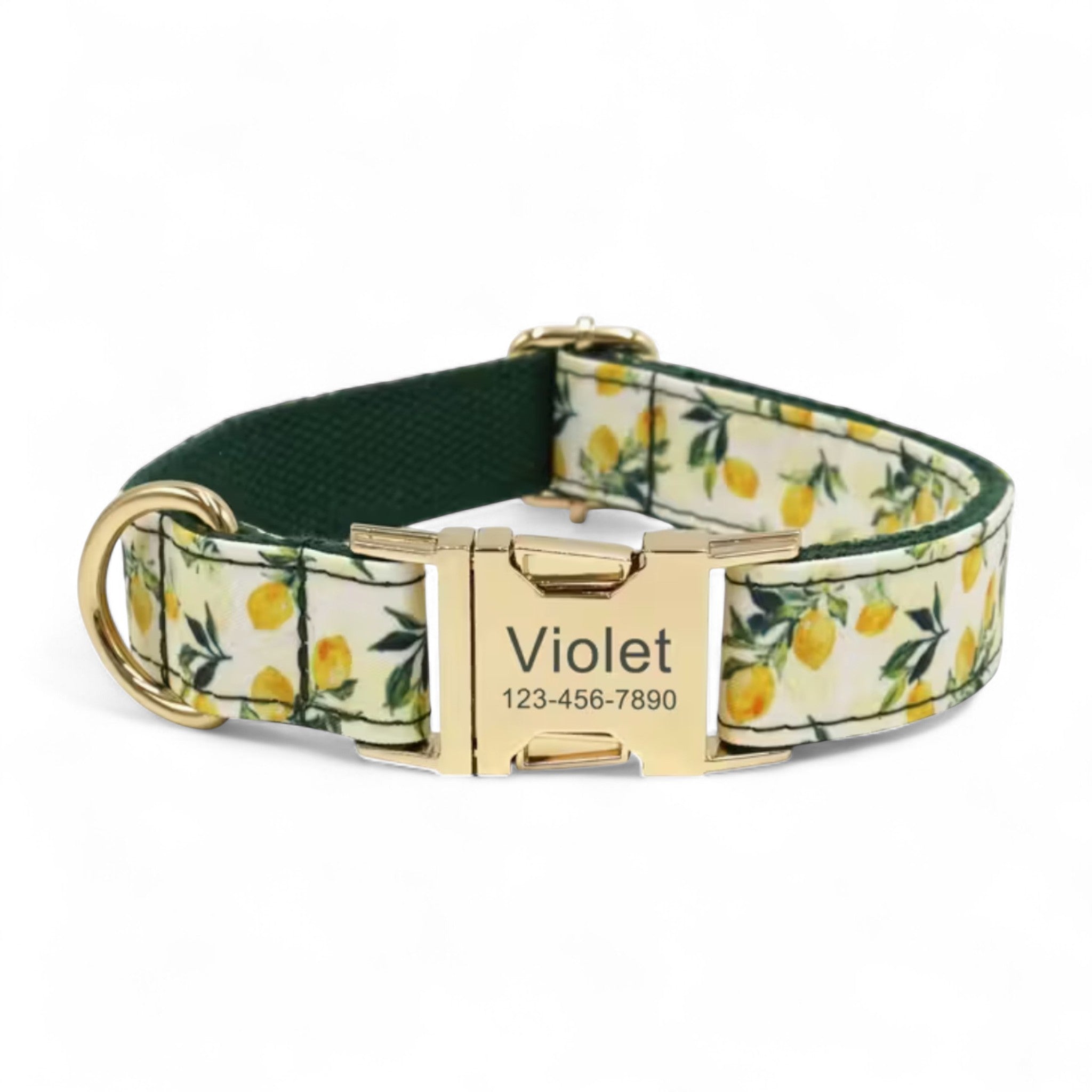 Lemon Grove Dog Collar
