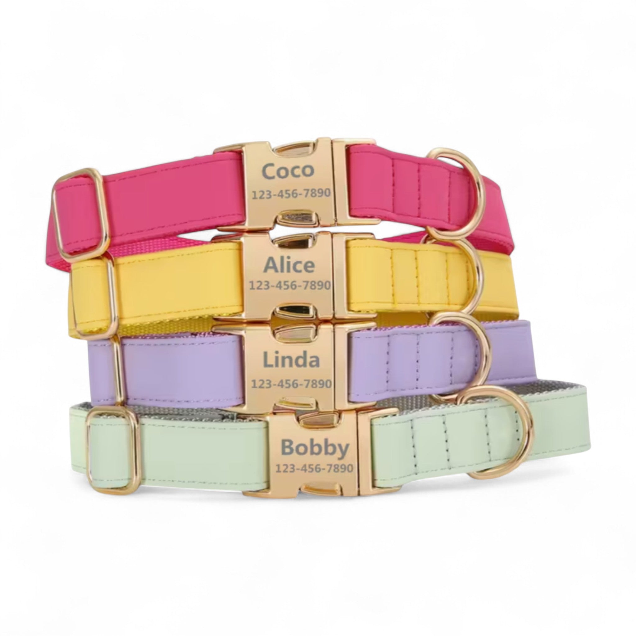 Pastel Luxe Engraved Dog Collar