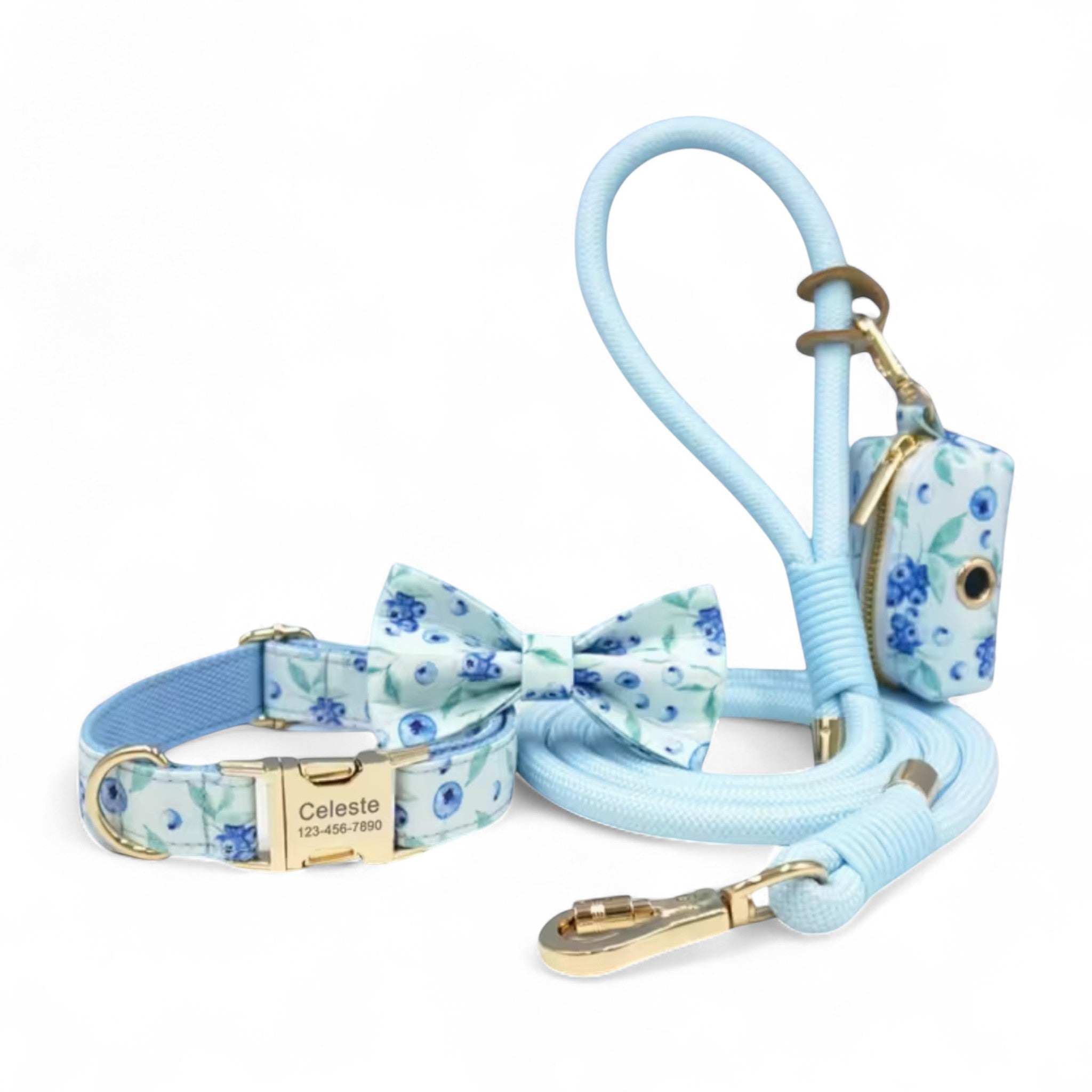 Luxe Matching Dog Walking Set