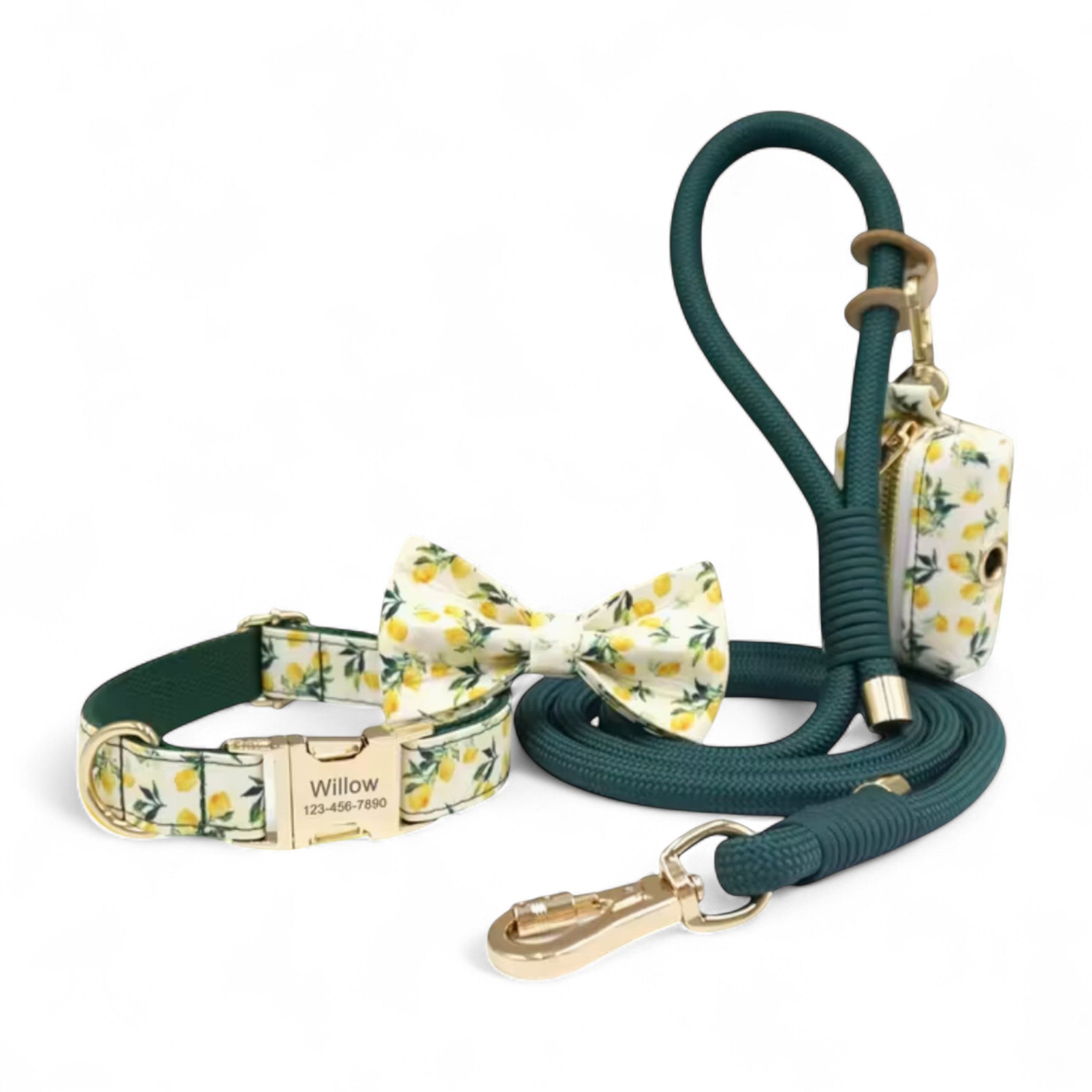 Luxe Matching Dog Walking Set