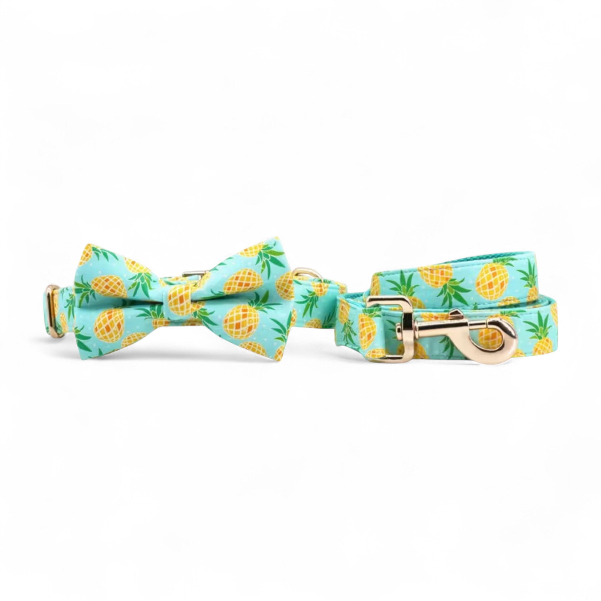 Pineapple Paradise Dog Collar & Leash Set