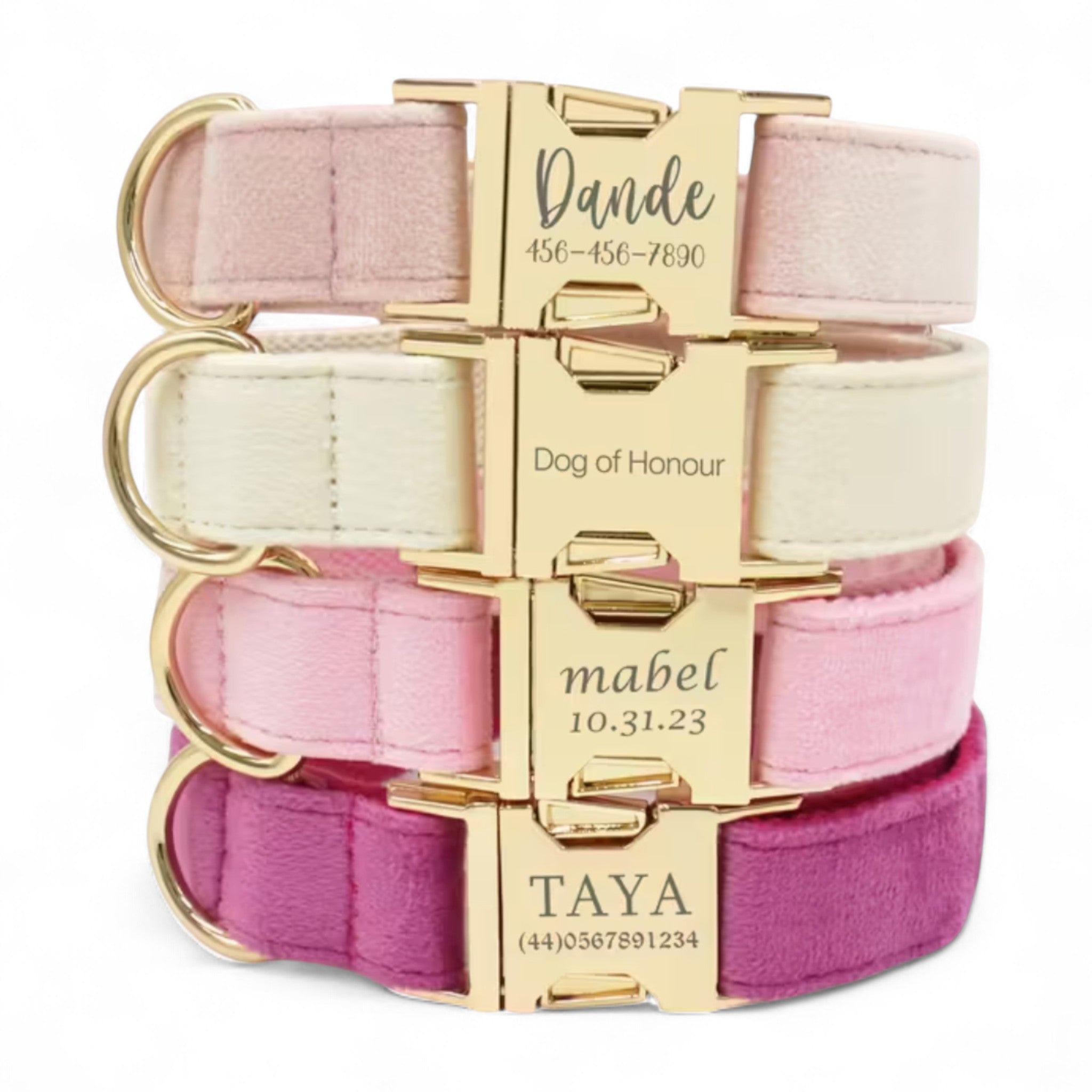 Velvet Signature Collar