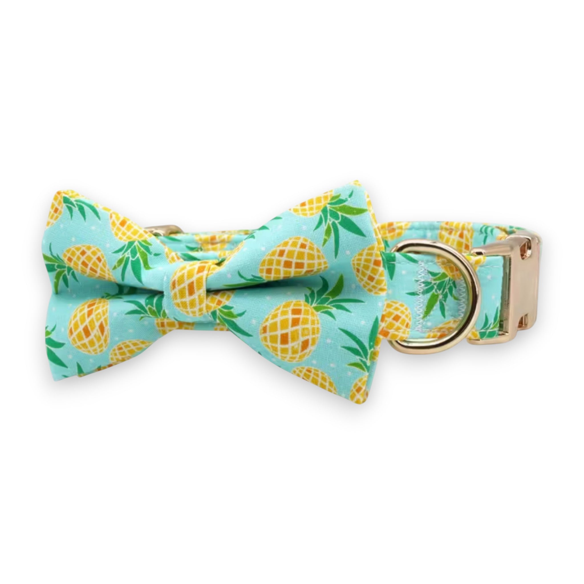 Pineapple Paradise Dog Collar & Leash Set