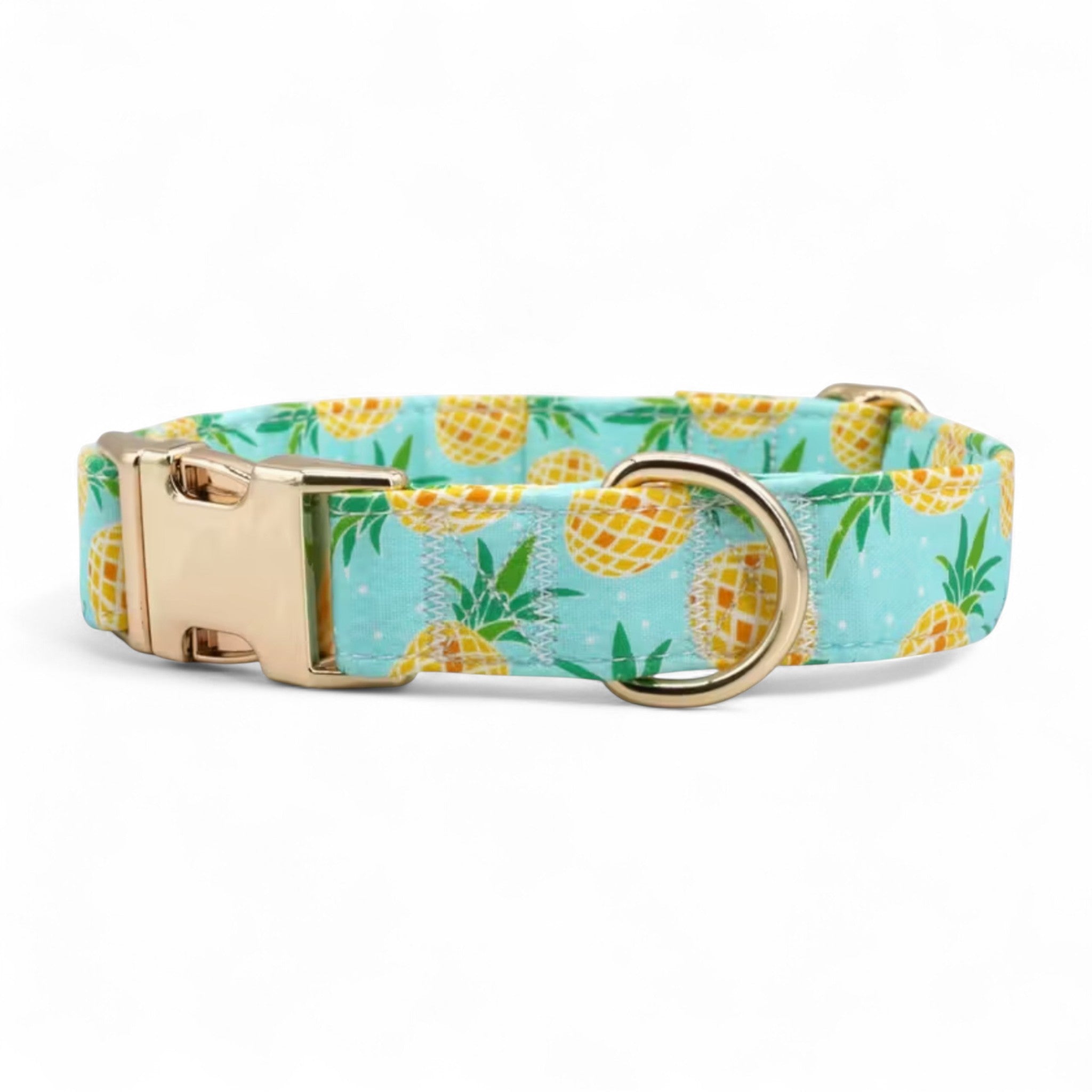 Pineapple Paradise Dog Collar & Leash Set