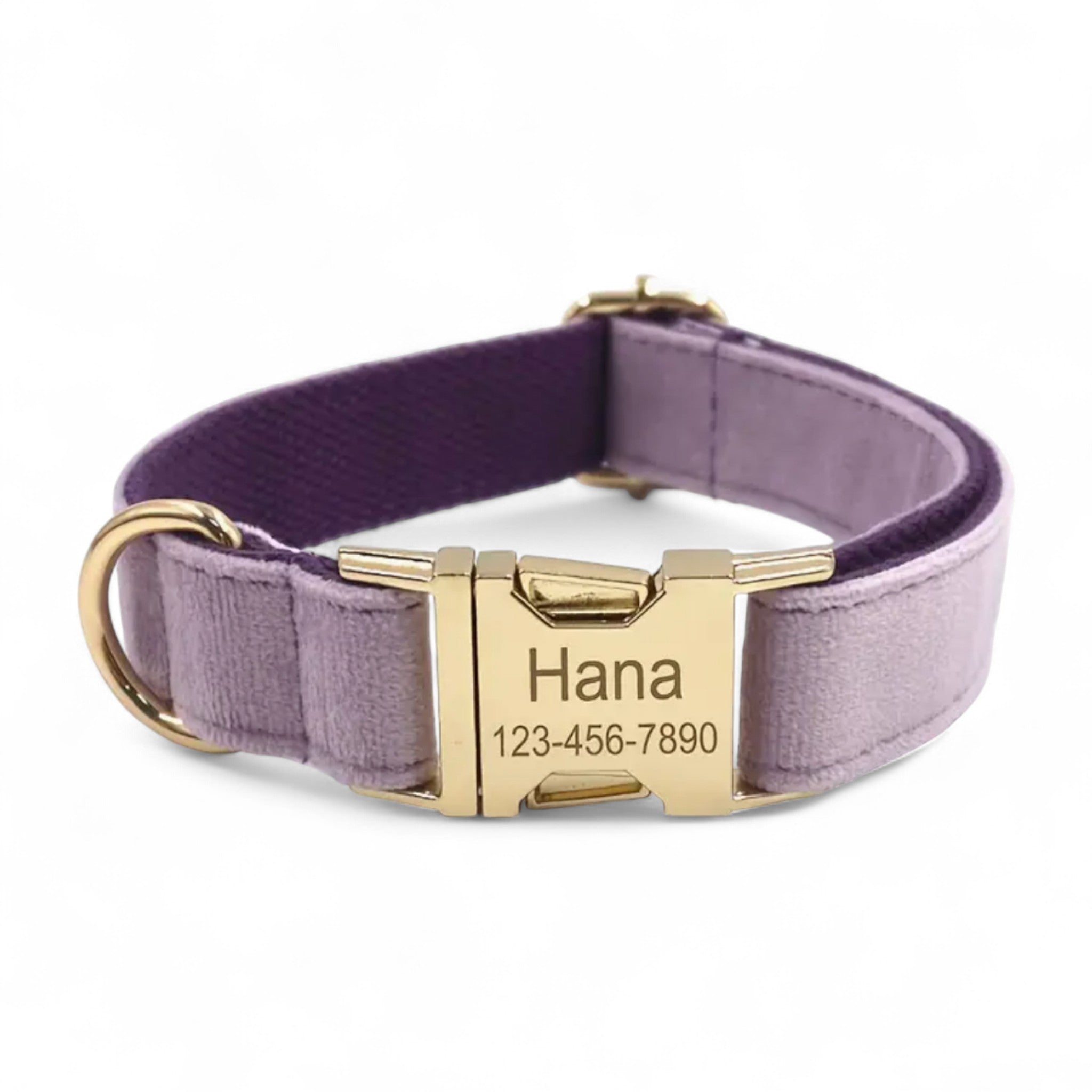 Velvet Signature Collar