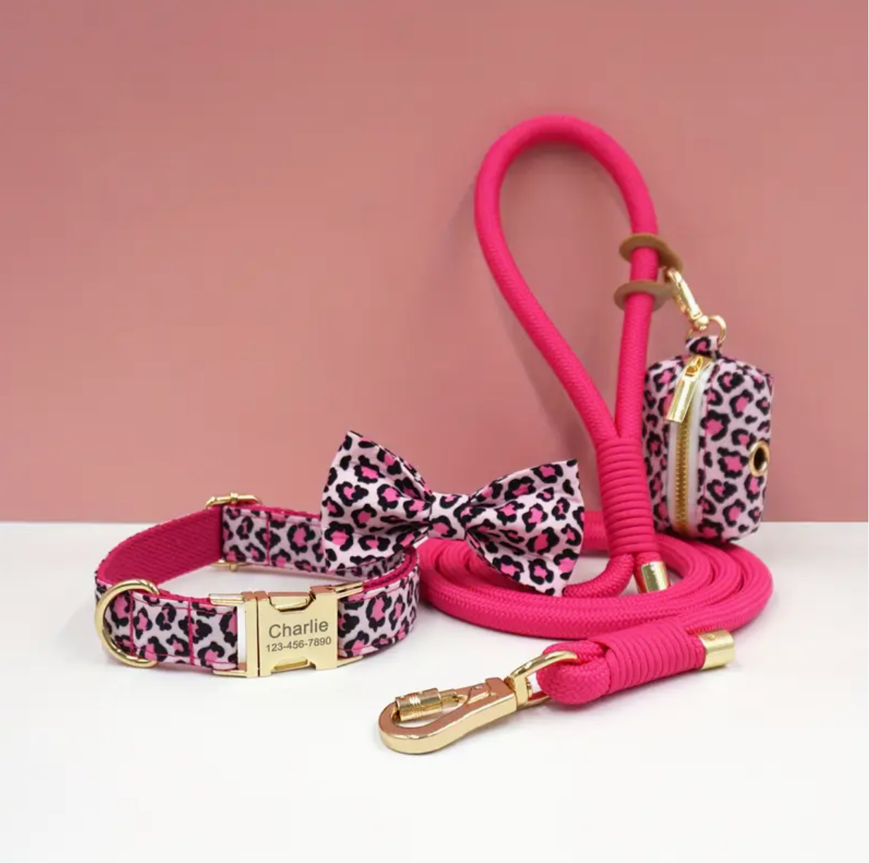 Luxe Matching Dog Walking Set