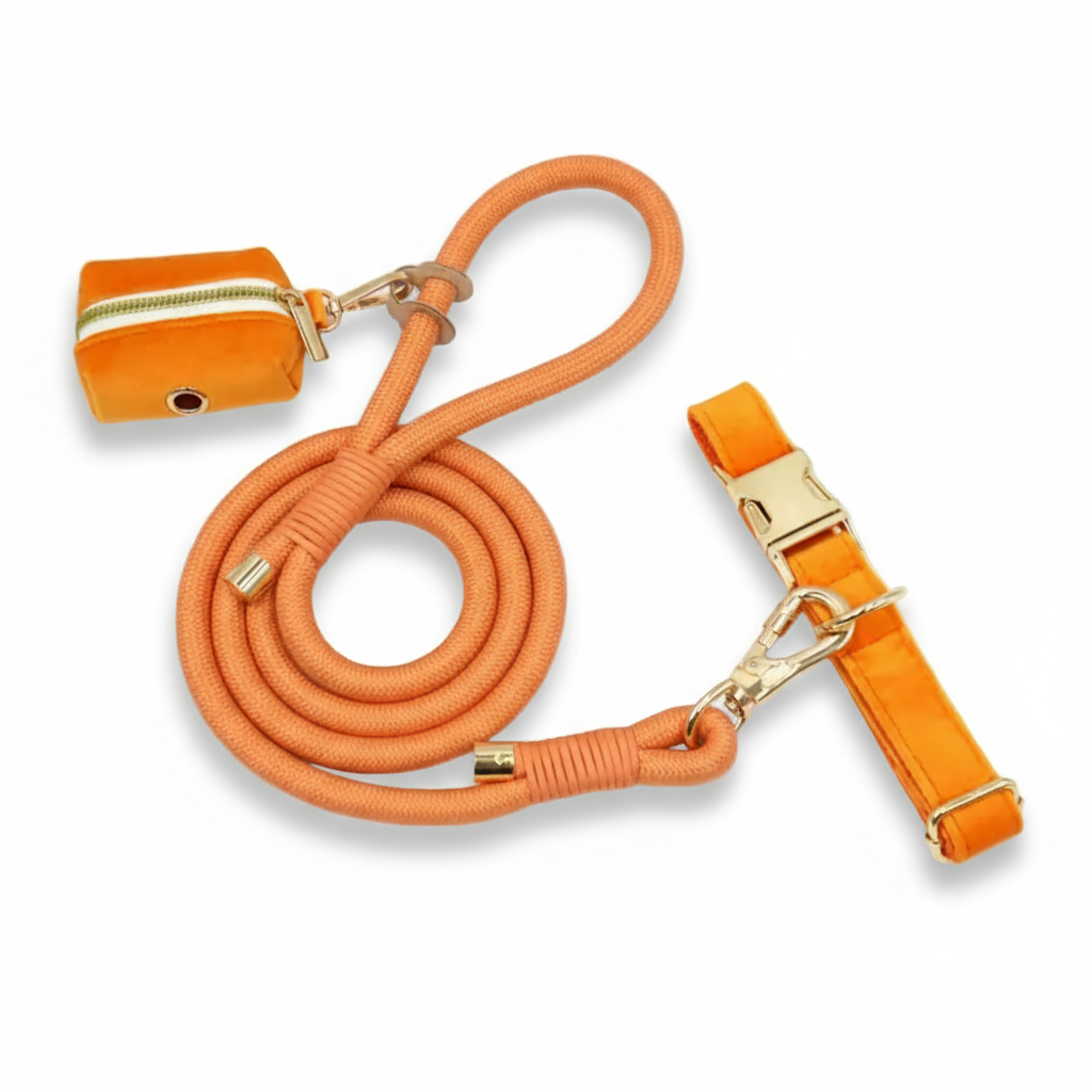 Personalized Rope Leash & Collar Set