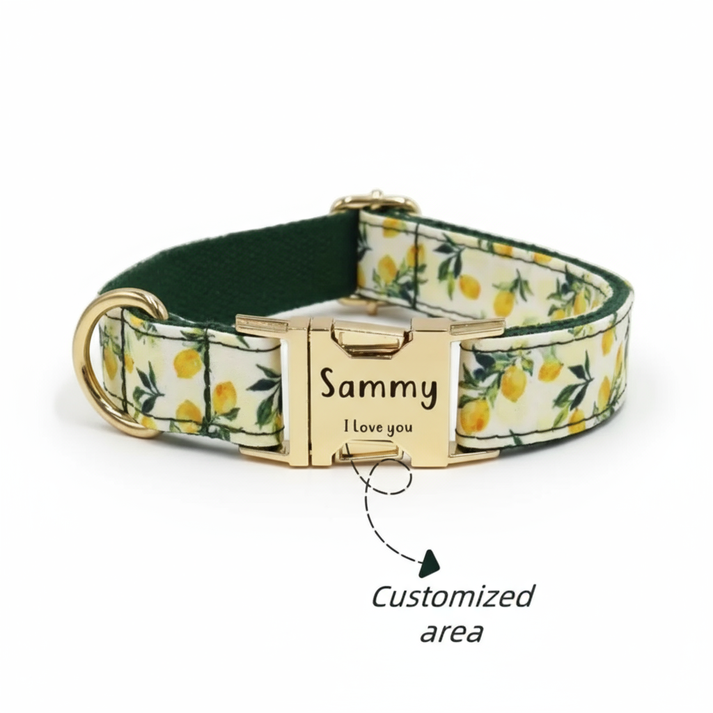 Lemon Grove Dog Collar